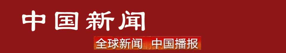 中国最新新闻素材获取指南，初学者与进阶用户步骤详解