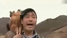 胡汉三最新花儿，文化现象的深度解析