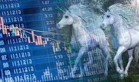 独角兽基金最新动态解析与观点阐述，个人立场视角下的深度洞察