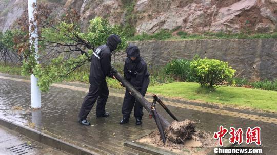 台风最新信息在哪里,台风最新信息在哪里——全面指南教你如何获取台风最新动态