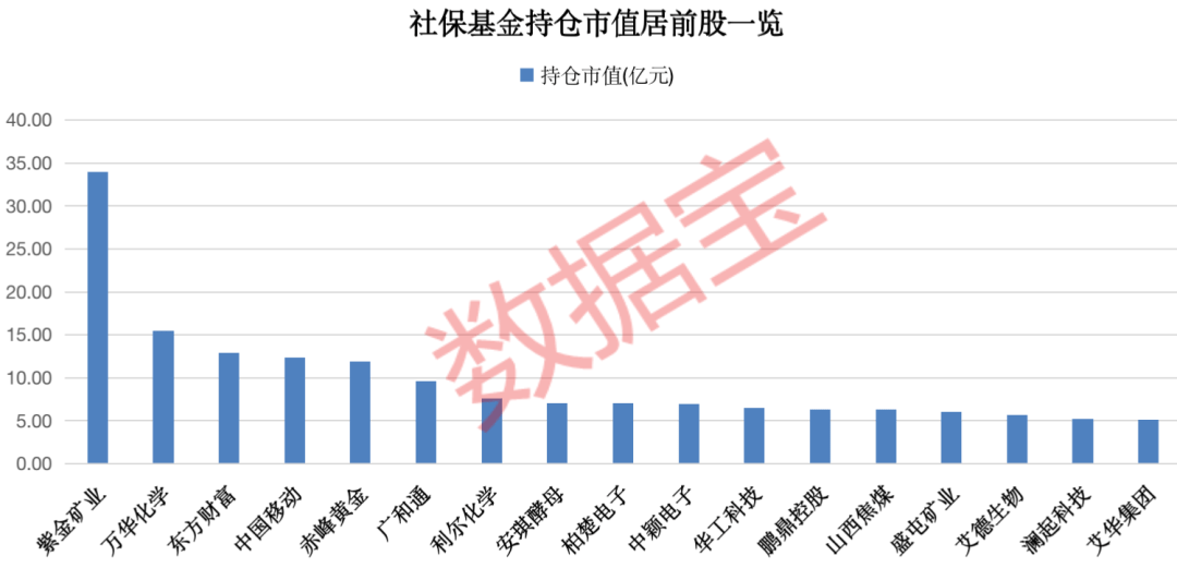 最新基金持仓股,最新基金持仓股，时代的脉搏与投资的焦点