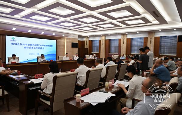 最新综合能力评估,最新综合能力评估步骤指南