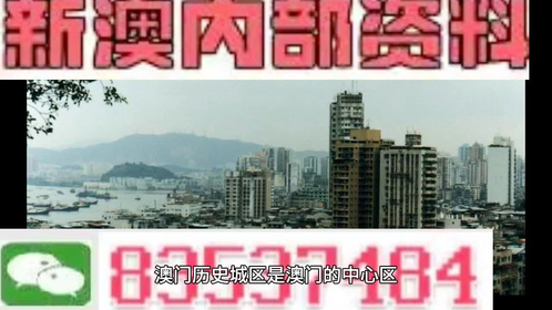 新澳门精准资料大全管家婆料,解析解释说法_创造力版95.269