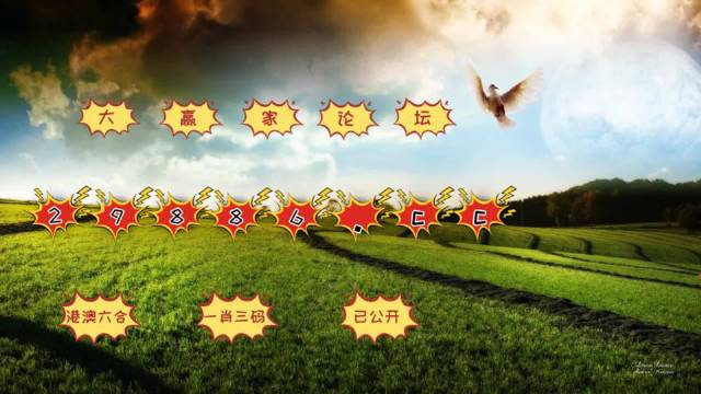 新澳门4949六开彩,深入登降数据利用_品牌版5.626