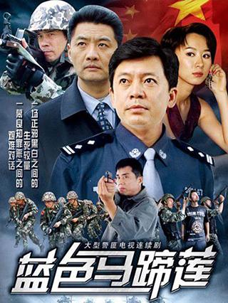 蓝色行动电视剧，探寻正义与勇气的力量之旅