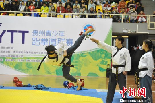 青少年跆拳道比赛，友谊与荣耀的较量战场
