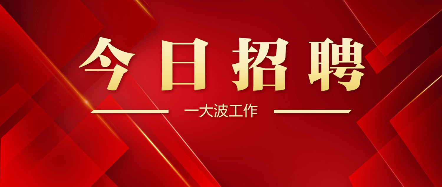 麻章最新招聘信息，科技革新引领职场新风尚