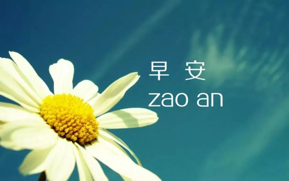 最新早安说说制作步骤指南与创意分享