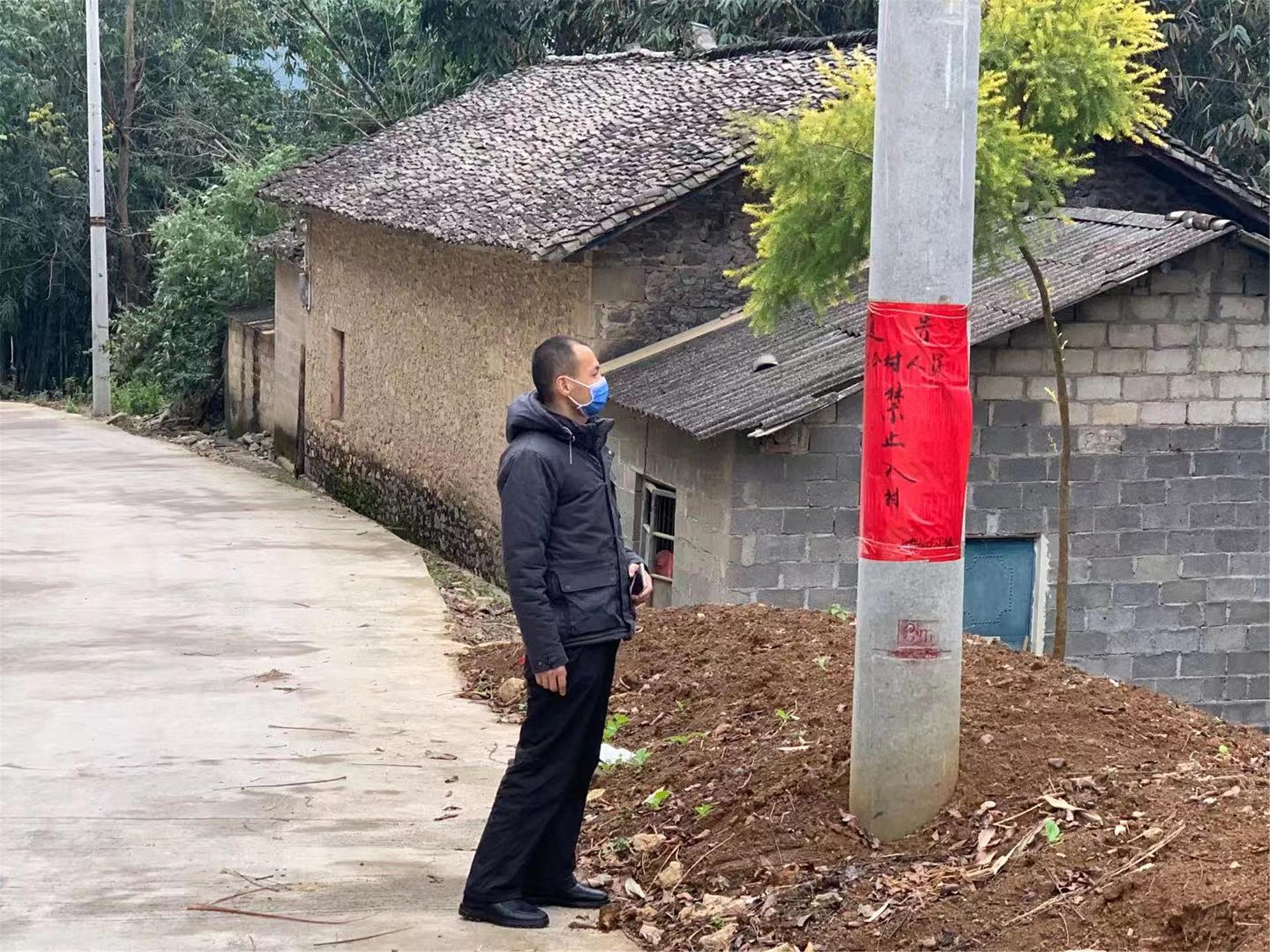 罗平最新疫情动态，变化中的力量与学习带来的自信与成就