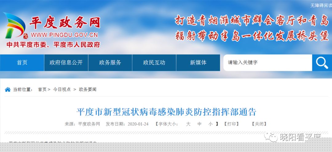 平度最新疫情背景分析与现状概述