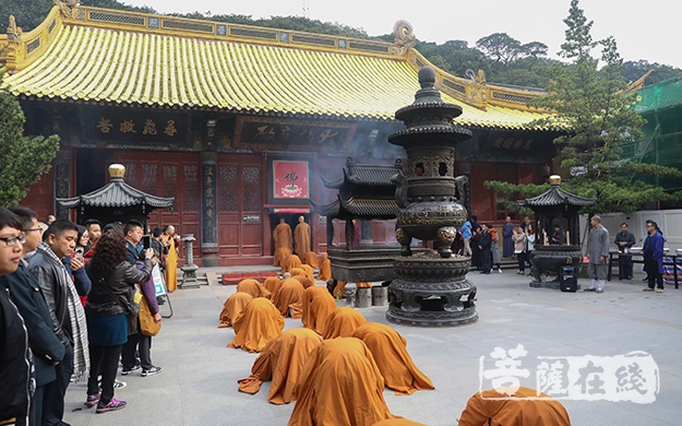 佛慈最新，时代慈悲之光