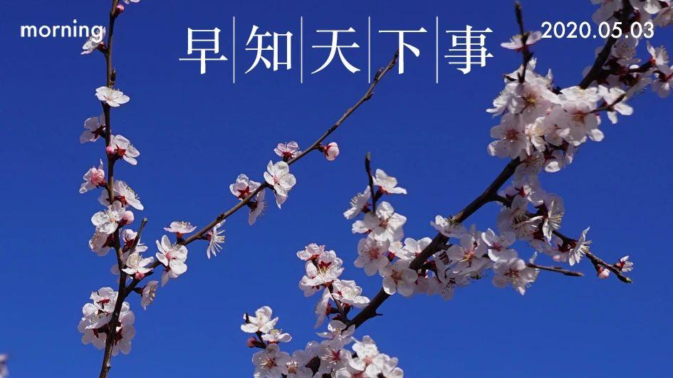 响应级别最新更新，深度观点阐述与解析