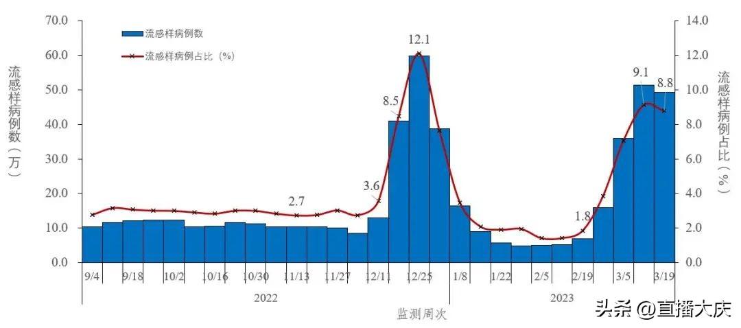 最新流感动态，深度解析其影响与通报