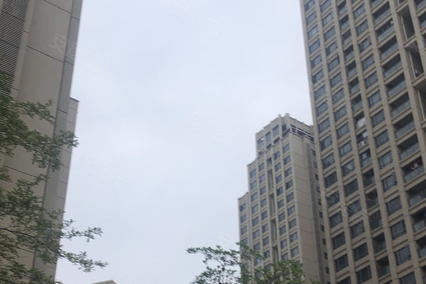 坦洲最新小区，自然美景的探索之旅